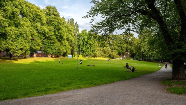 Selv om du bor sentralt i hovedstaden, er det kort vei til flotte rekreasjonsområder. Rett ved leiligheten ligger Klosterenga park og Botsparken.