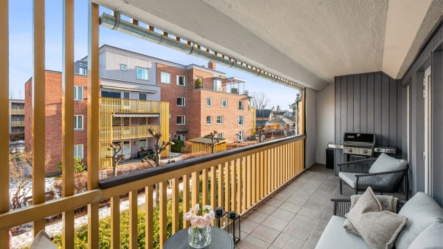 Her kan du nyte gode solforhold og en rolig atmosfære på årets varme dager.