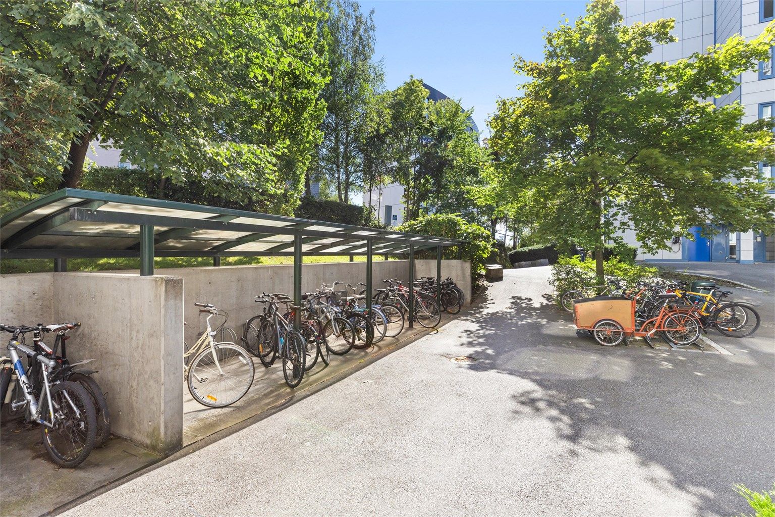 Felles sykkelparkering og fine felles områder. Bilde er lånt fra forrige annonse og ble tatt på sommeren.