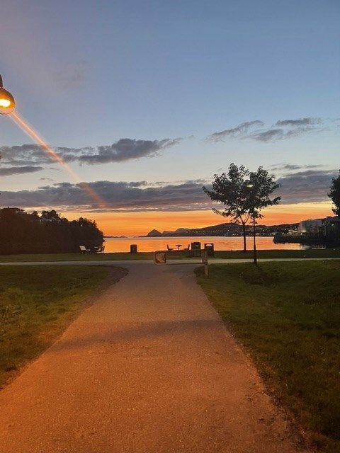 Flott solnedgang fra friområdet på Sandingane