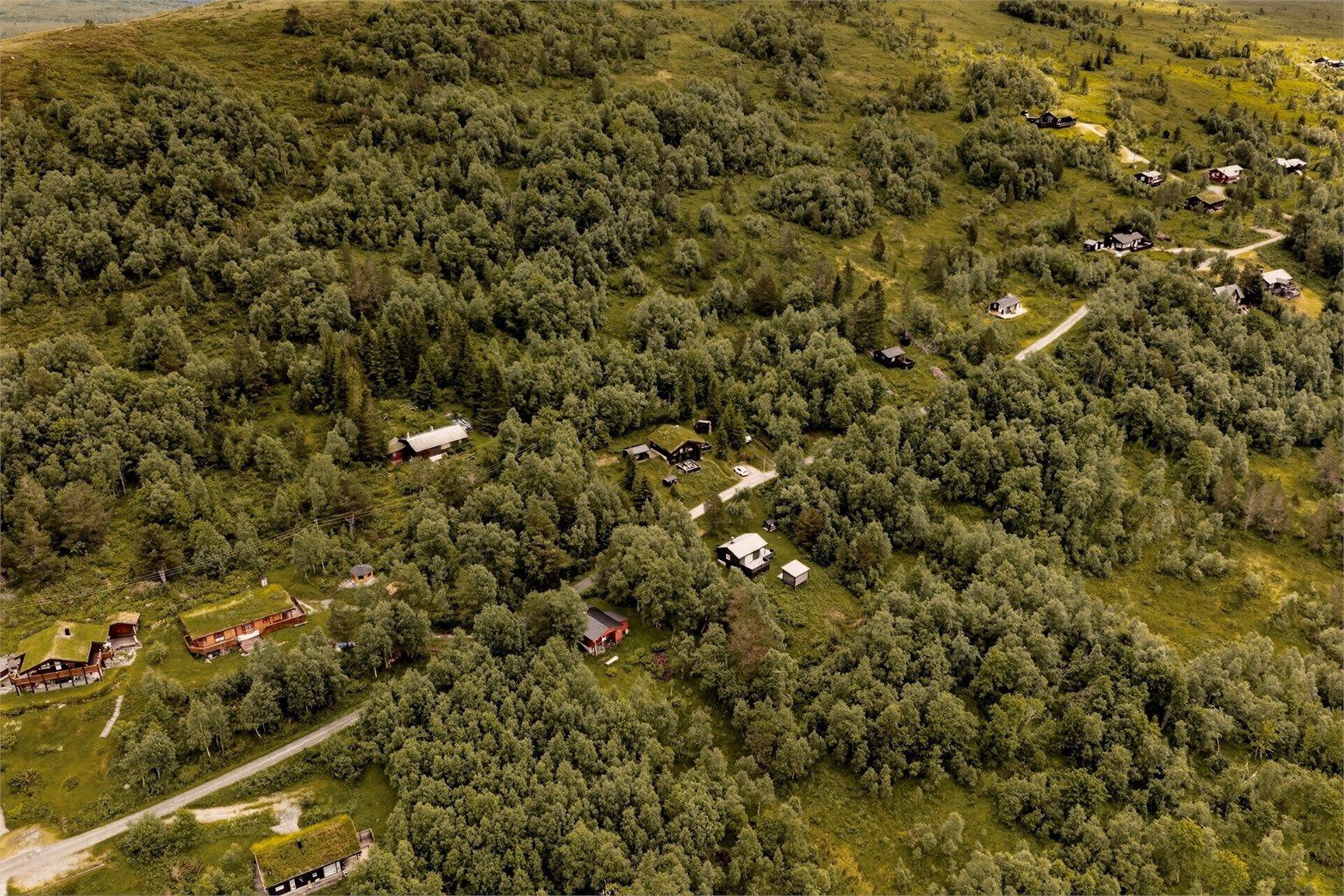 Veien til hyttefeltet er vinterbrøytet, noe som gjør fremkomsten enkel hele året