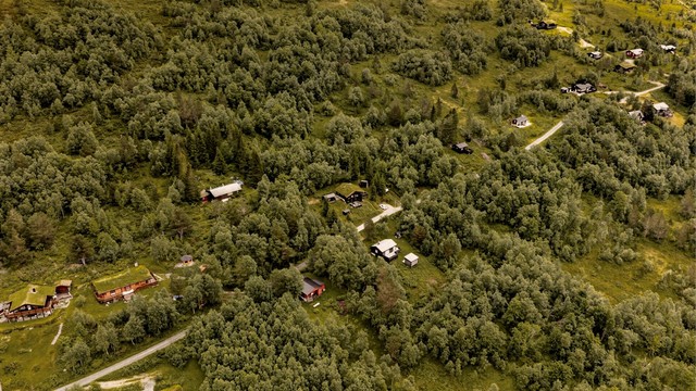 Veien til hyttefeltet er vinterbrøytet, noe som gjør fremkomsten enkel hele året