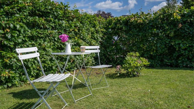 Hagen er godt skjermet for innsyn