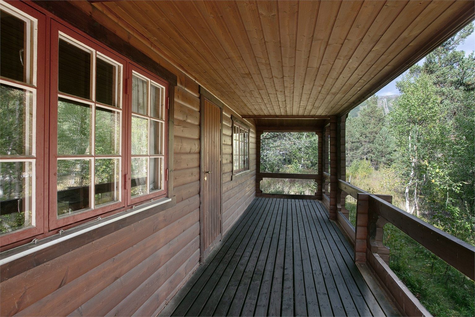 Fra verandaen har du utsikt mot furuskogen og det omkringliggende terrenget.