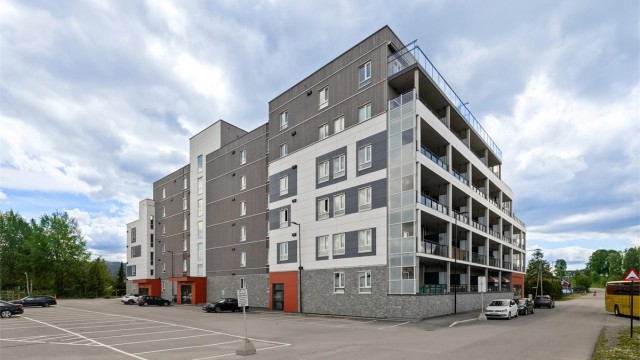 Leiligheten har en sentral beliggenhet i et etablert område. Foto: Haiman Askari/Knipzet AS