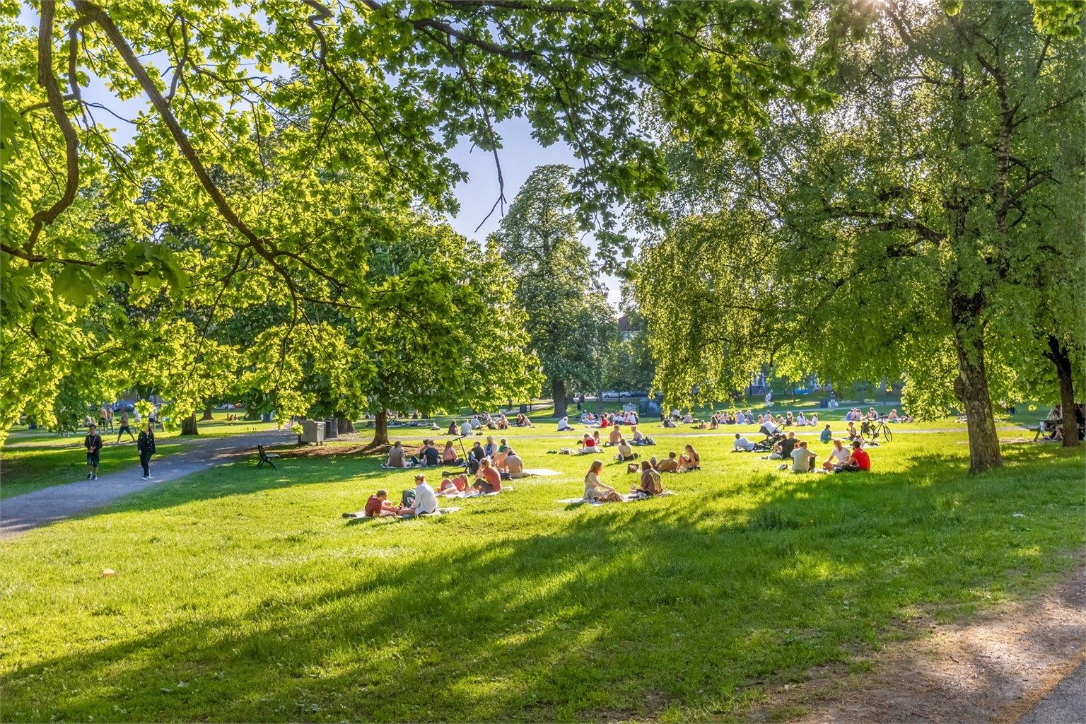 Kort gangavstand til Sofienbergparken med store grøntarealer, ballplass og lekeplass.