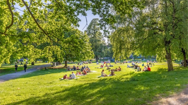 Kort gangavstand til Sofienbergparken med store grøntarealer, ballplass og lekeplass.