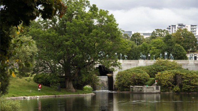 Fra eiendommen er det turstier direkte inn i Den Engelske Park som fører til Frognerparken.