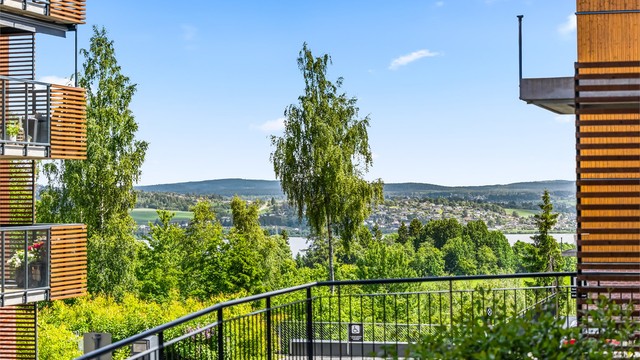 Mot Øyeren og Fetsund
