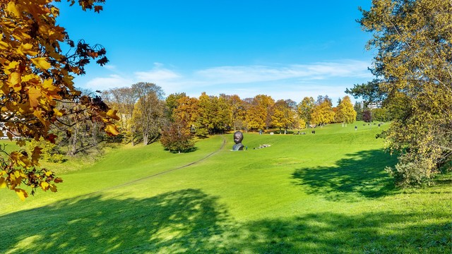 Omraade Sinsen-Carl-Berner-Thorshovdalen