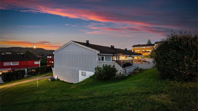 Sommerbilde av området