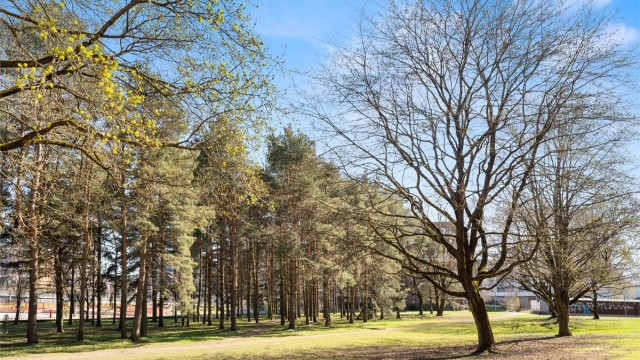 Utenfor leiligheten ligger en grønn lunge