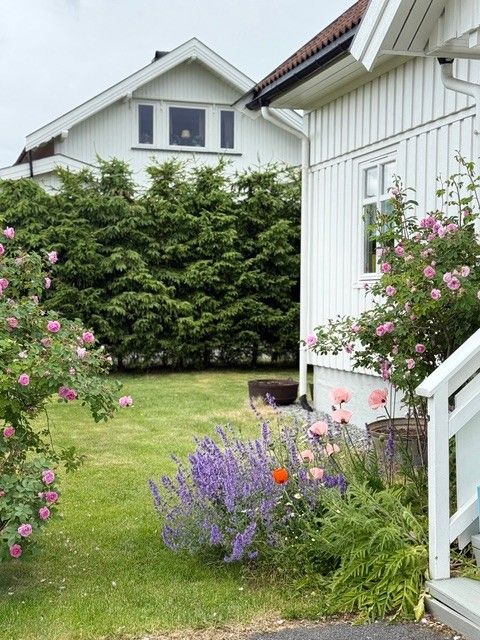 Beplanting - Selgers bilde.