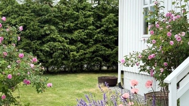 Beplanting - Selgers bilde.