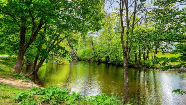Langs Akerselva finner du flotte turstier, grønne omgivelser og et naturlig pusterom året rundt.