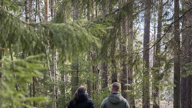 Med et nærområde som byr på umiddelbar tilgang til skog med flotte turstier, finner du balanse mellom et effektivt byliv og rolige, naturskjønne omgivelser.