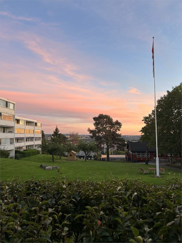 Åpen og grønn utsikt over borettslagets frodige fellesarealer (selgers bilde sommerstid) 