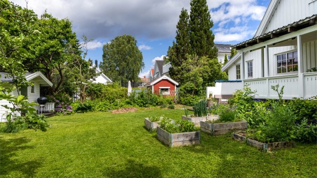 Flere soner i hagen gir rom for ulike aktiviteter, som dyrking i plantekasser.