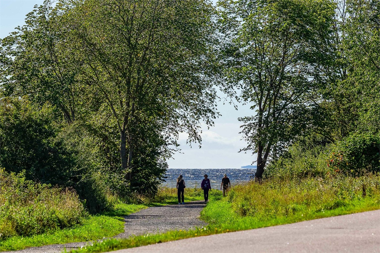 Det frodige og unike landskapsvernområdet omkring Alby er et herlig friluftsområde verdt gjentatte utflukter og egner seg i tillegg godt for hverdagslige treningsturer.