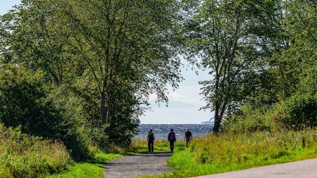 Det frodige og unike landskapsvernområdet omkring Alby er et herlig friluftsområde verdt gjentatte utflukter og egner seg i tillegg godt for hverdagslige treningsturer.