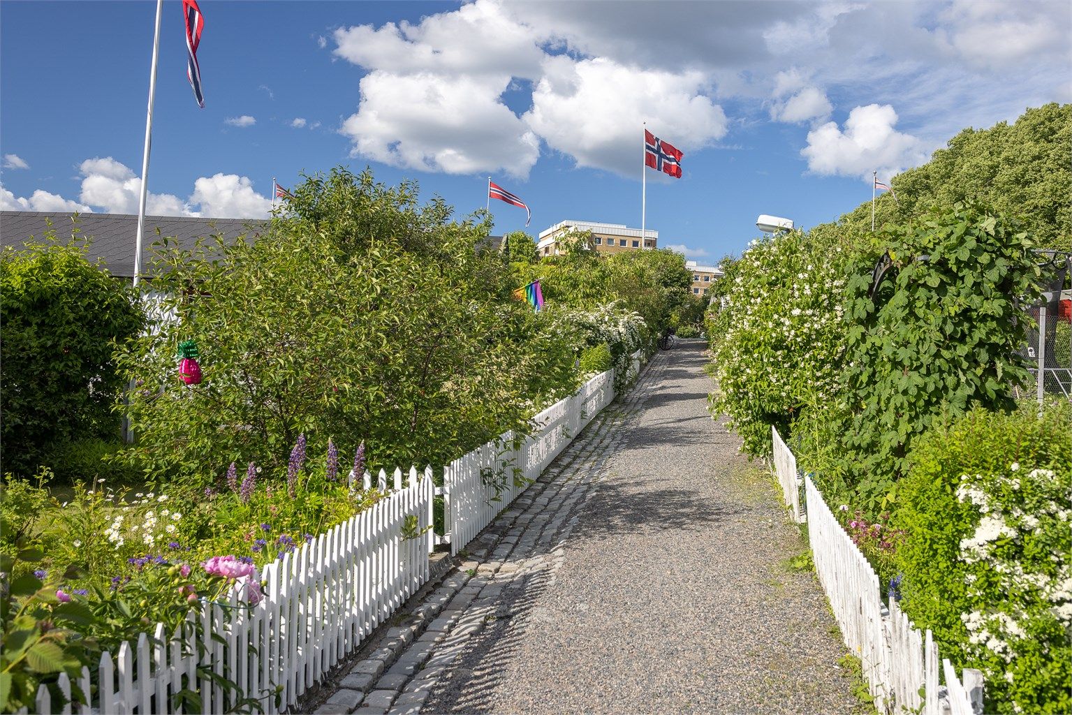 Hjemmets kolonihager - et historisk parsellhageområde, og en av de eldste kolonihagene i byen. En unik, historisk og grønn oase midt i bydel Bjølsen! 
