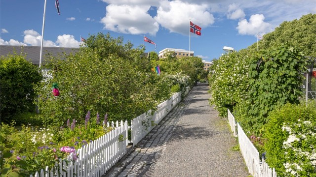 Hjemmets kolonihager - et historisk parsellhageområde, og en av de eldste kolonihagene i byen. En unik, historisk og grønn oase midt i bydel Bjølsen!