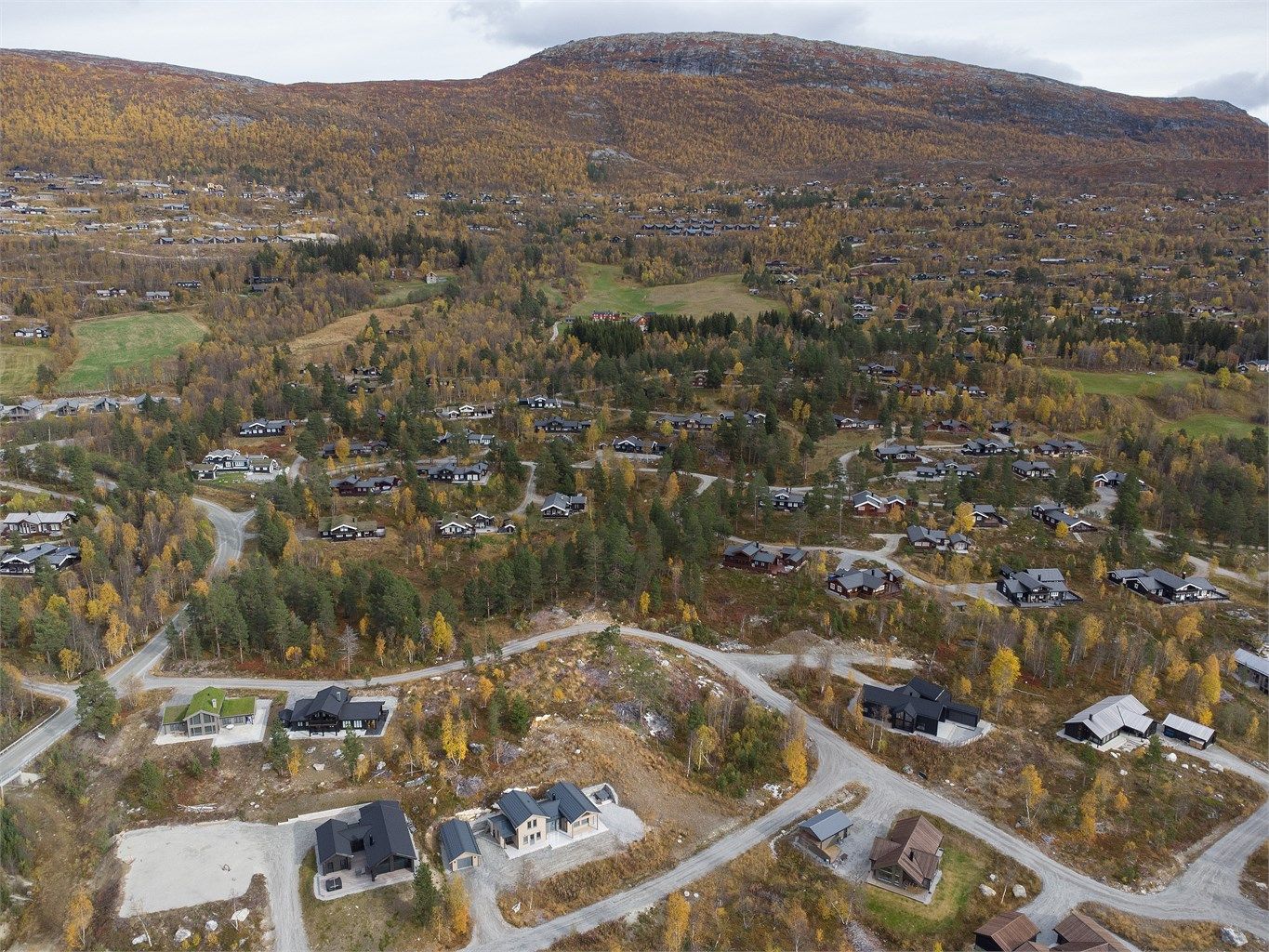 Dronebilde av hyttefeltet