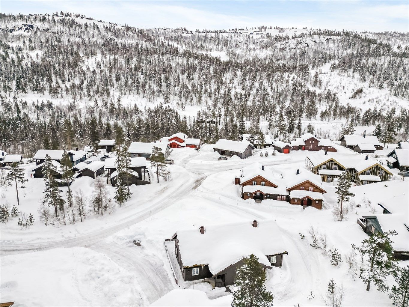 Nærhet til skiløyper og skisenteret.