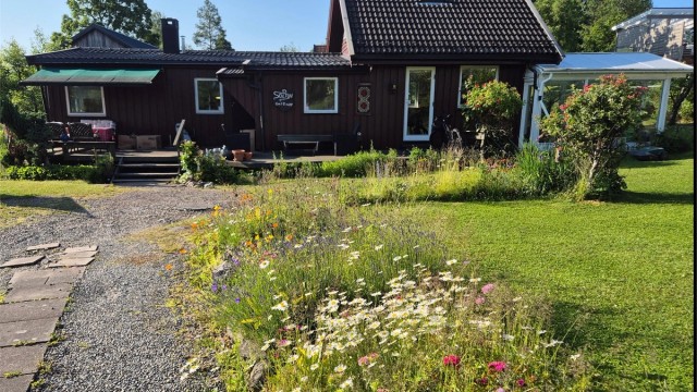 Sommeridyll (privat foto)