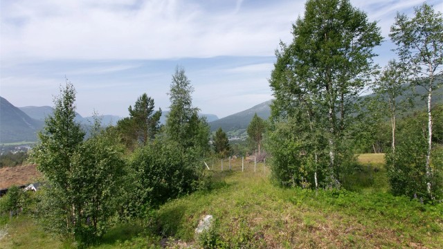 Området byr på flotte turmuligheter sommerstid, med et godt utbygd stinett.