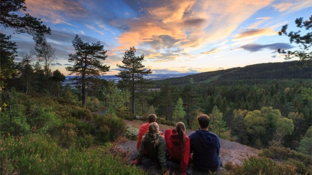 Idylliske Årvollåsen. Fotograf er Emil Wiik Larsen