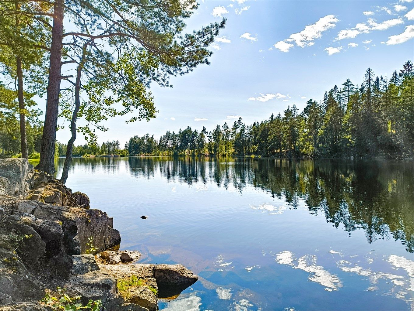 Selgers private bilde