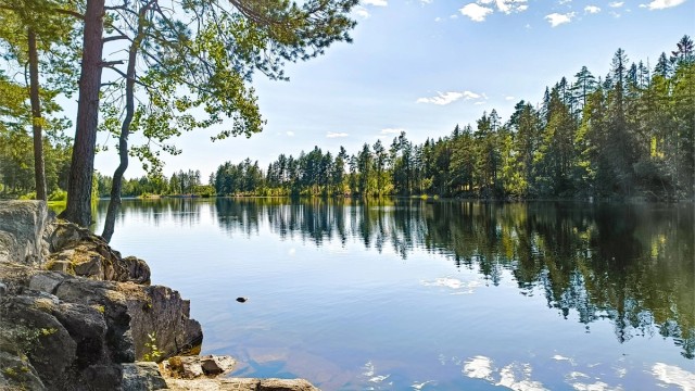 Selgers private bilde