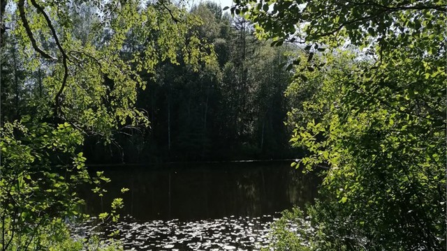 Du finner fine turområder i marka med gangavstand fra boligen. (Selgers egne bilde)