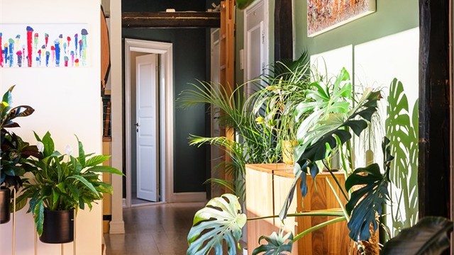 Leiligheten ligger i umiddelbar gåavstand til offentlig kommunikasjon som tar deg fra sentrum til marka via trikk og buss, samt t-bane nettverket med nærmeste stasjon på Carl Berner.