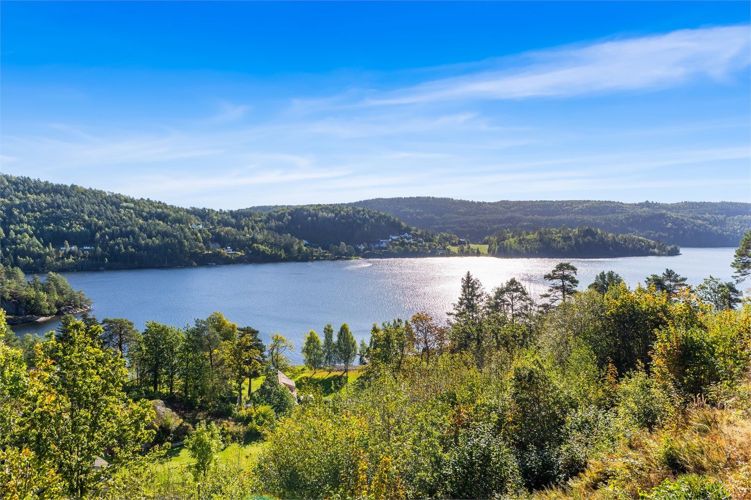 Vannspeilet og skogslandskapet danner en naturskjønn bakgrunn for nærområdet.