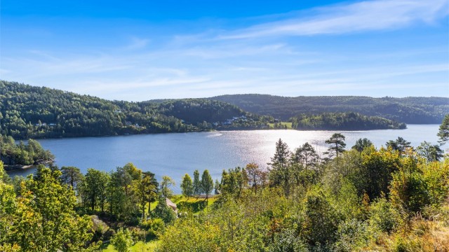 Vannspeilet og skogslandskapet danner en naturskjønn bakgrunn for nærområdet.