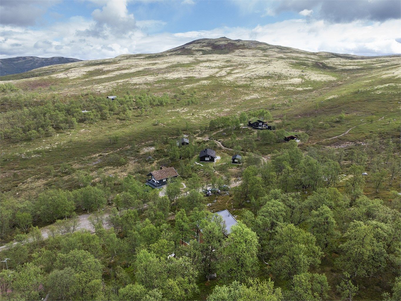 Dronebilde over nærområdet