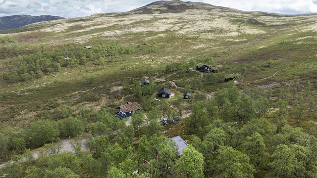 Dronebilde over nærområdet