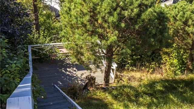 Opparbeidet felles tomt med trappeløp, gressplen og beplantning.