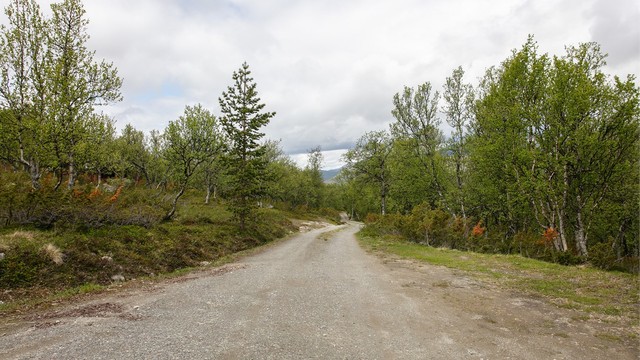 Privat vei med felles veivedlikehold. Veien er vinterstengt