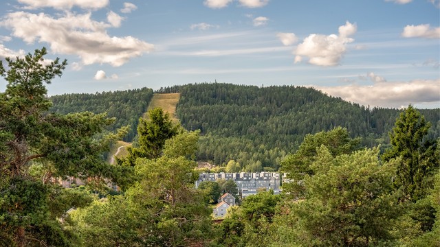 Utsikt mot Grefsenkleiva
