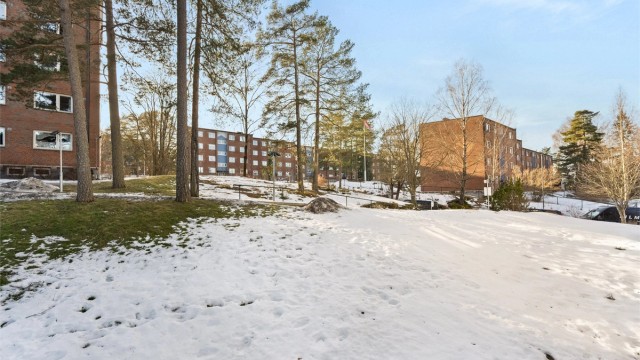 Fra balkongen har du denne nydelige utsikten mot store grøntarealer og mot skogholt. Inngangen til marka er kun et lite steinkas unna.
Foto: Martine Eren Jacobsen