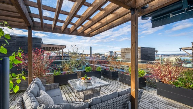 Takterrassen har store muligheter plass til dyrking av planter og vekster.