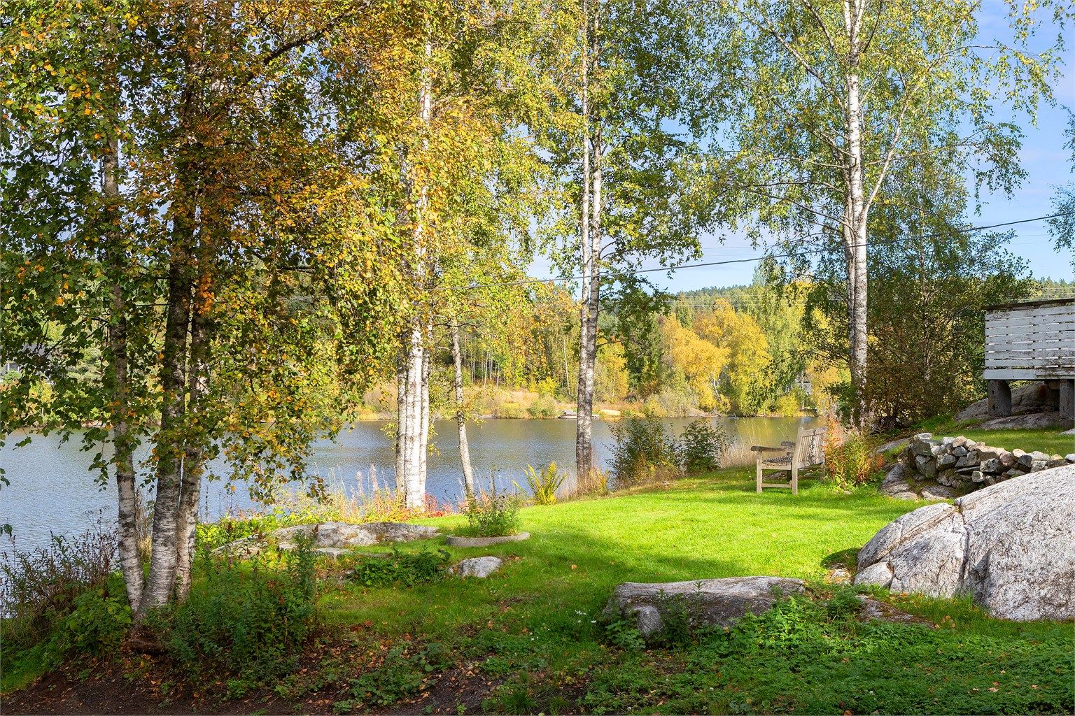 Sitteplass under bjørketrærne med usjenert utsyn mot vannet.