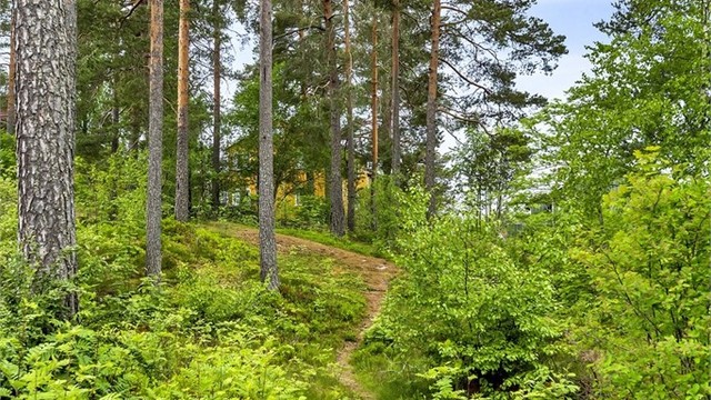 Bor du på Tveteråsen så bor du faktisk med marka og naturen som nabo. Et mer idyllisk boområde skal du lenge lete etter!
