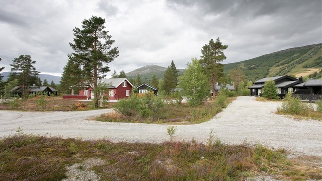 Det meste av det Bjorli kan tilby, som butikk og servering, er innen gangavstand.