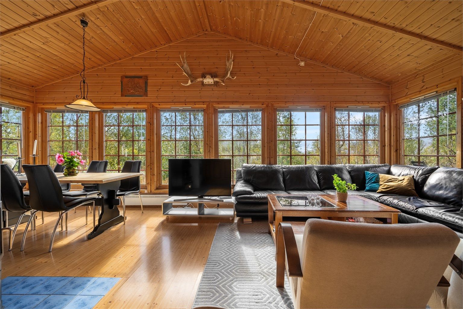 - Velkommen til Dyregrenda Nord 37 - 