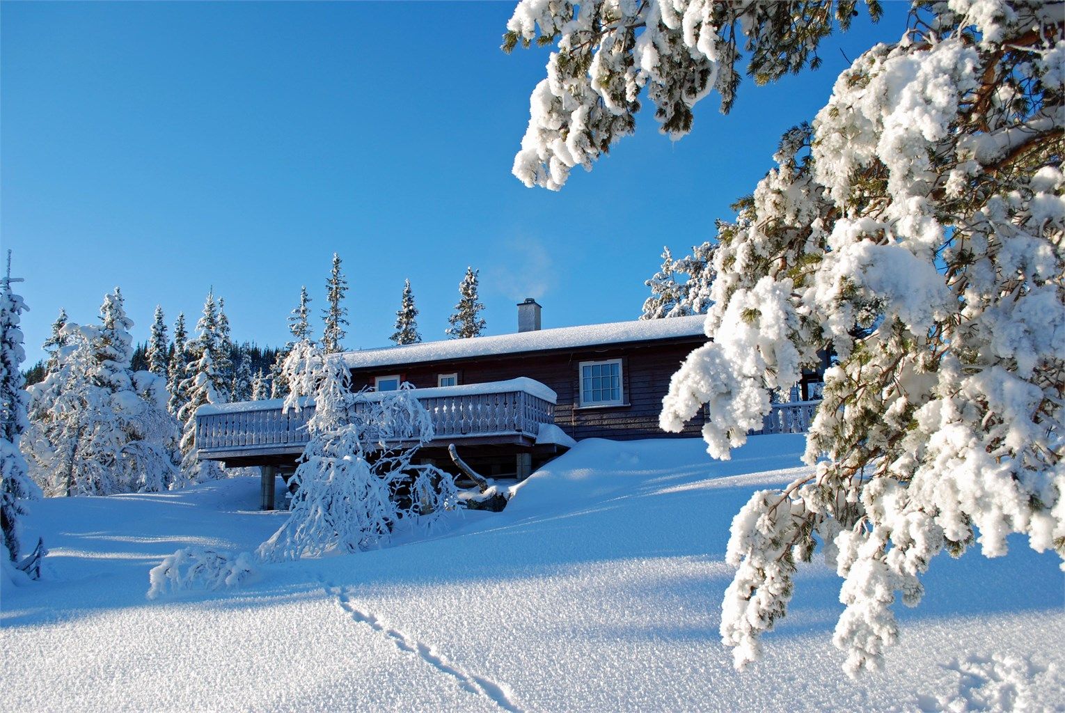 Selgers bilde fra vinterstid