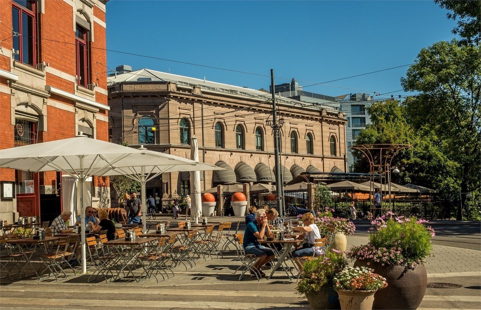 Nærområdet.